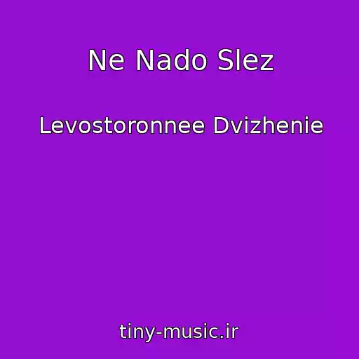 کاور آهنگ Ne Nado Slez از Levostoronnee Dvizhenie