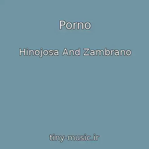 کاور آهنگ Porno از Hinojosa And Zambrano
