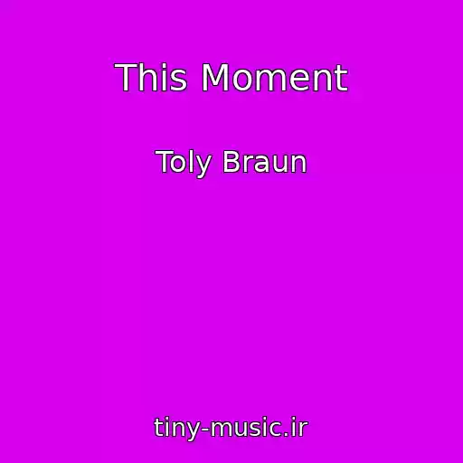 کاور آهنگ This Moment از Toly Braun