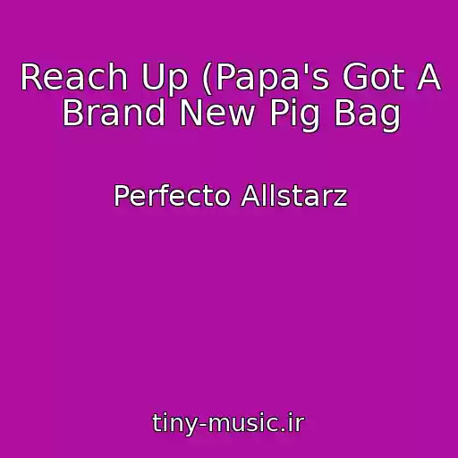 کاور آهنگ Reach Up (Papa's Got A Brand New Pig Bag از Perfecto Allstarz