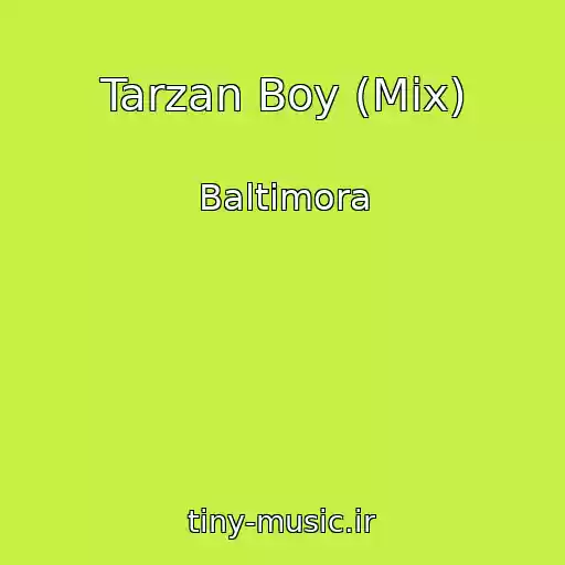 کاور آهنگ Tarzan Boy (Mix) از Baltimora