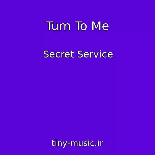 کاور آهنگ Turn To Me از Secret Service
