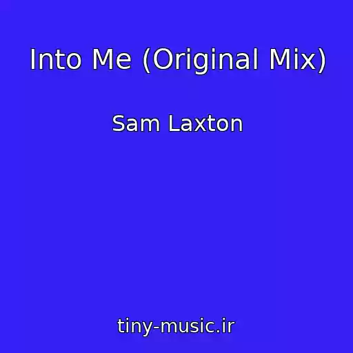 کاور آهنگ Into Me (Original Mix) از Sam Laxton