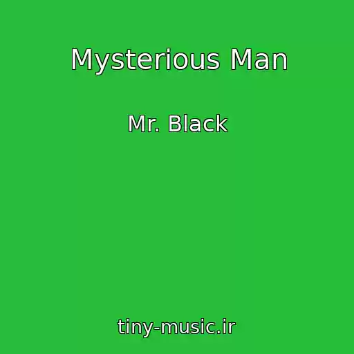 کاور آهنگ Mysterious Man از Mr. Black
