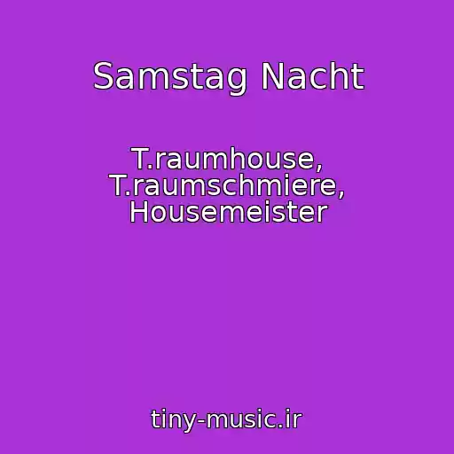 کاور آهنگ Samstag Nacht از T.raumhouse, T.raumschmiere, Housemeister