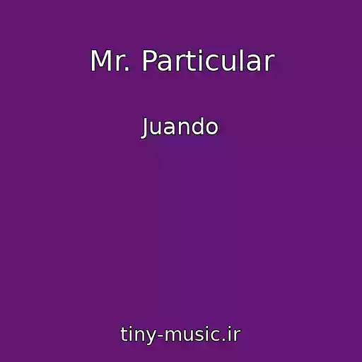 کاور آهنگ Mr. Particular از Juando