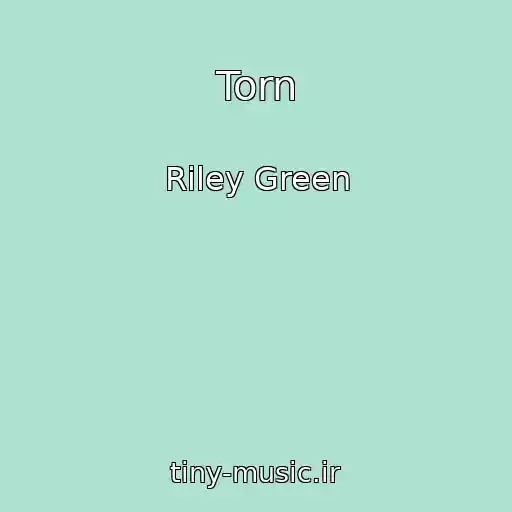 کاور آهنگ Torn از Riley Green