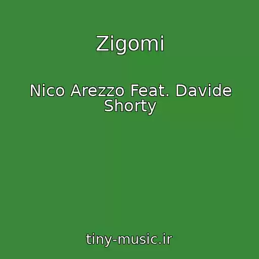 کاور آهنگ Zigomi از Nico Arezzo Feat. Davide Shorty