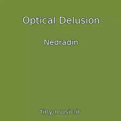 کاور آهنگ Optical Delusion از Nedradin