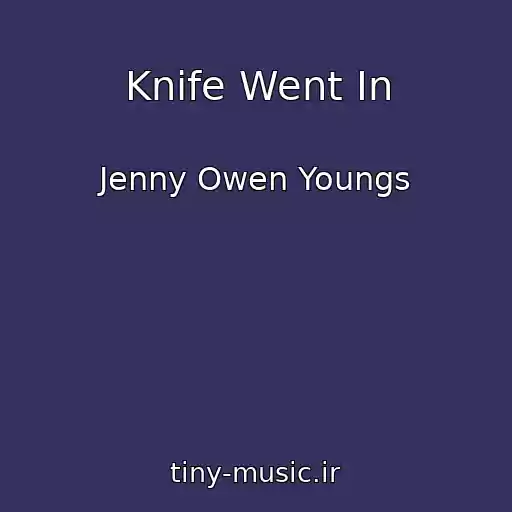 کاور آهنگ Knife Went In از Jenny Owen Youngs