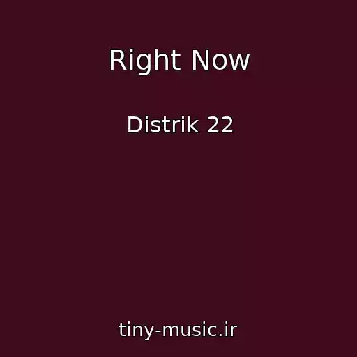کاور آهنگ Right Now از Distrik 22