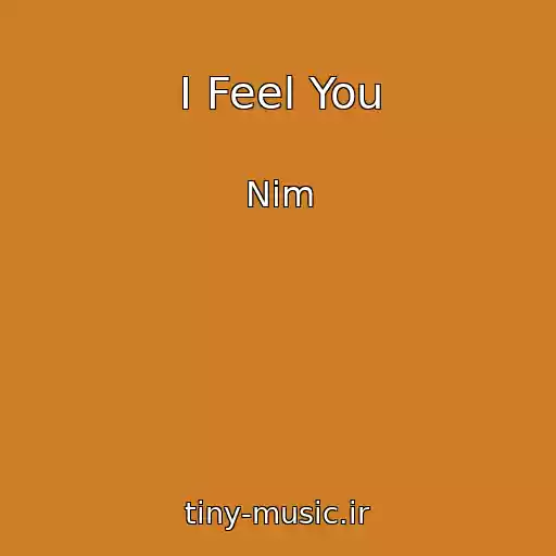 کاور آهنگ I Feel You از Nim
