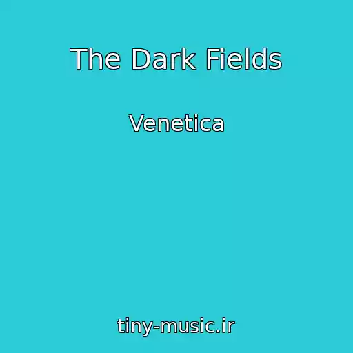 کاور آهنگ The Dark Fields از Venetica