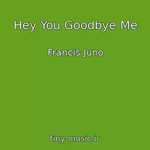 کاور آهنگ Hey You Goodbye Me از Francis Juno