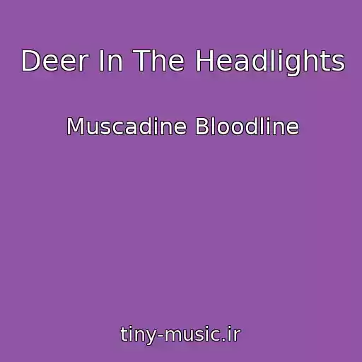 کاور آهنگ Deer In The Headlights از Muscadine Bloodline