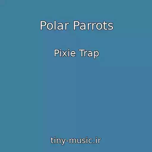کاور آهنگ Polar Parrots از Pixie Trap