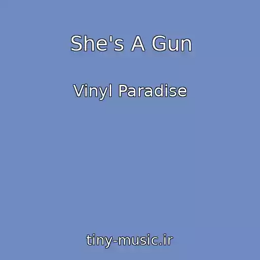 کاور آهنگ She's A Gun از Vinyl Paradise