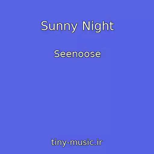 کاور آهنگ Sunny Night از Seenoose