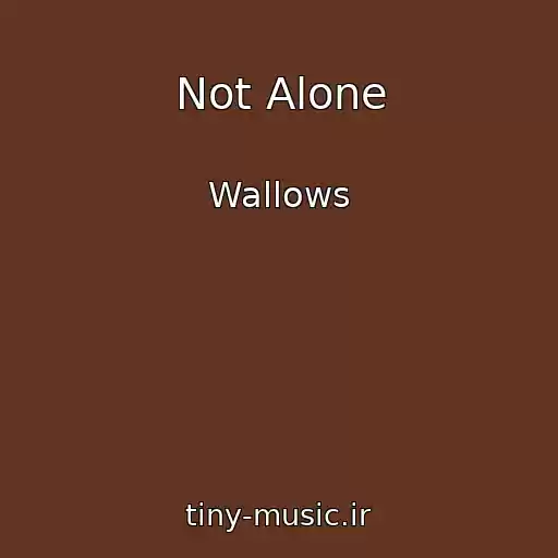 کاور آهنگ Not Alone از Wallows
