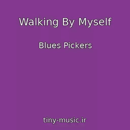 کاور آهنگ Walking By Myself از Blues Pickers