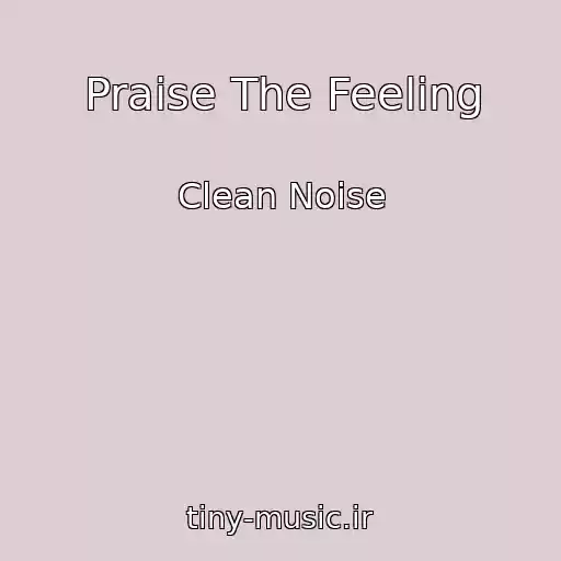 کاور آهنگ Praise The Feeling از Clean Noise