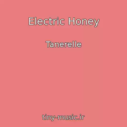 کاور آهنگ Electric Honey از Tanerelle