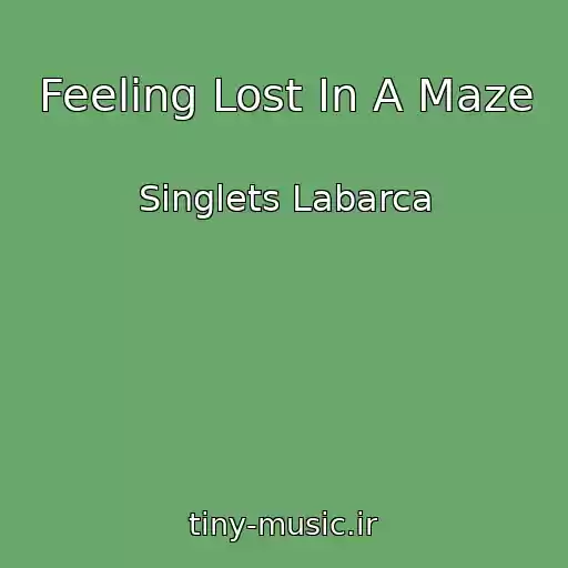 کاور آهنگ Feeling Lost In A Maze از Singlets Labarca