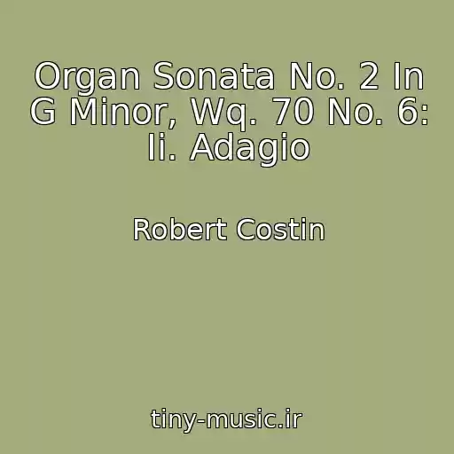 کاور آهنگ Organ Sonata No. 2 In G Minor, Wq. 70 No. 6: Ii. Adagio از Robert Costin