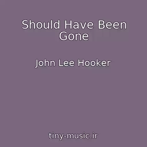کاور آهنگ Should Have Been Gone از John Lee Hooker