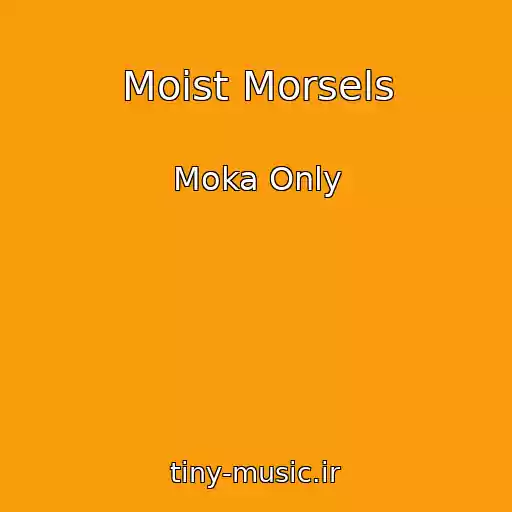 کاور آهنگ Moist Morsels از Moka Only