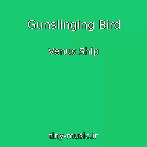کاور آهنگ Gunslinging Bird از Venus Ship
