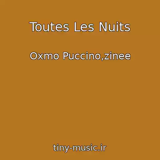 کاور آهنگ Toutes Les Nuits از Oxmo Puccino,zinee