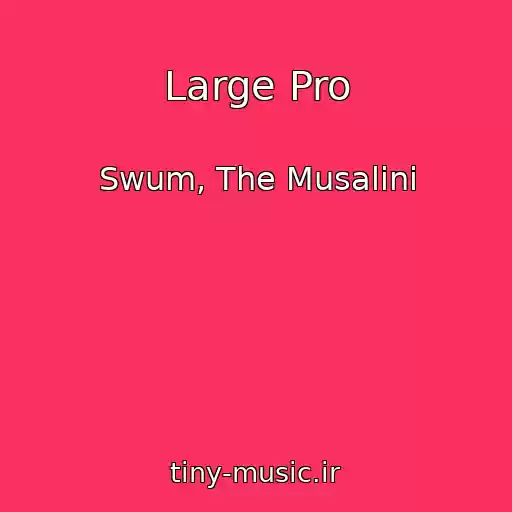 کاور آهنگ Large Pro از Swum, The Musalini