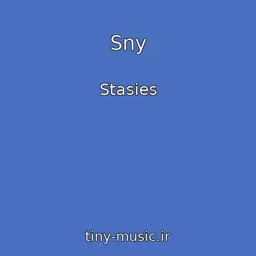 کاور آهنگ Sny از Stasies