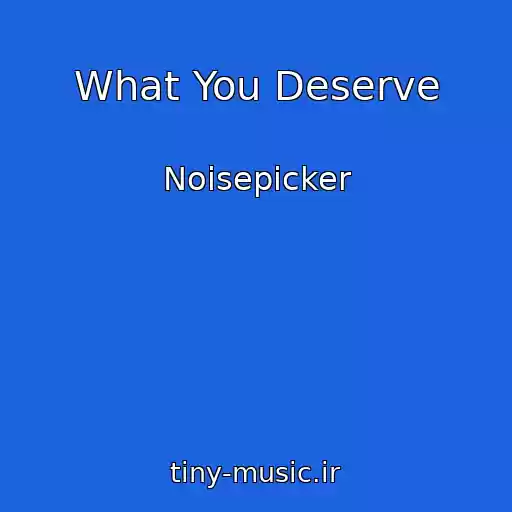 کاور آهنگ What You Deserve از Noisepicker