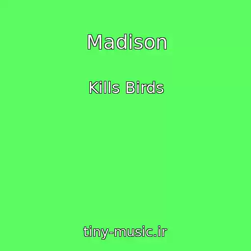 کاور آهنگ Madison از Kills Birds
