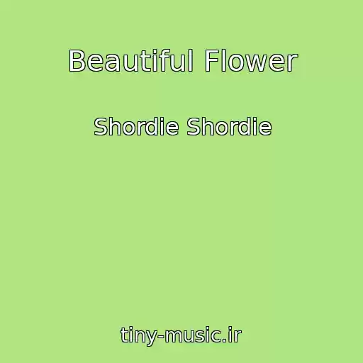 کاور آهنگ Beautiful Flower از Shordie Shordie