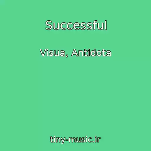 کاور آهنگ Successful از Visua, Antidota