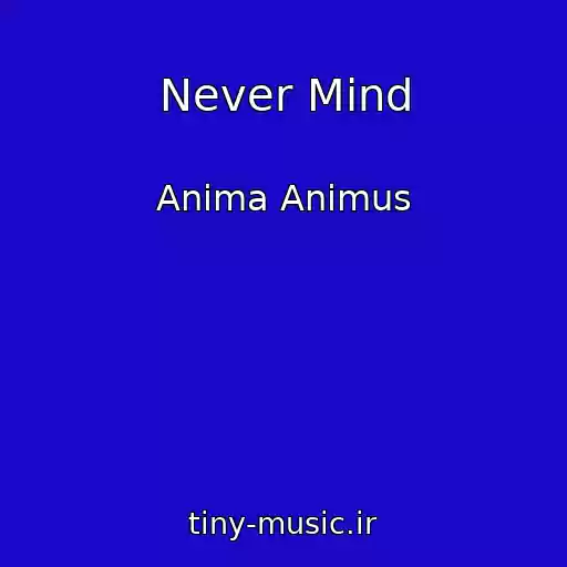 کاور آهنگ Never Mind از Anima Animus