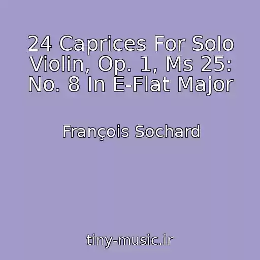 کاور آهنگ 24 Caprices For Solo Violin, Op. 1, Ms 25: No. 8 In E-Flat Major از François Sochard