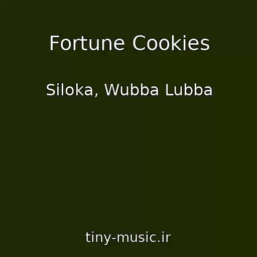 کاور آهنگ Fortune Cookies از Siloka, Wubba Lubba