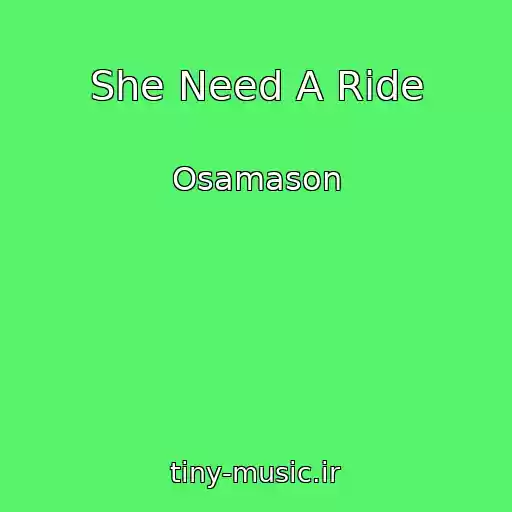کاور آهنگ She Need A Ride از Osamason