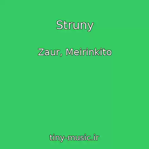 کاور آهنگ Struny از Zaur, Meirinkito