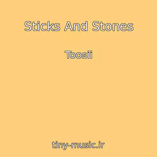 کاور آهنگ Sticks And Stones از Toosii
