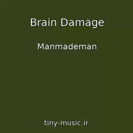 کاور آهنگ Brain Damage از Manmademan