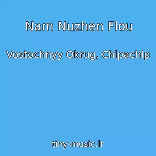 کاور آهنگ Nam Nuzhen Flou از Vostochnyy Okrug, Chipachip