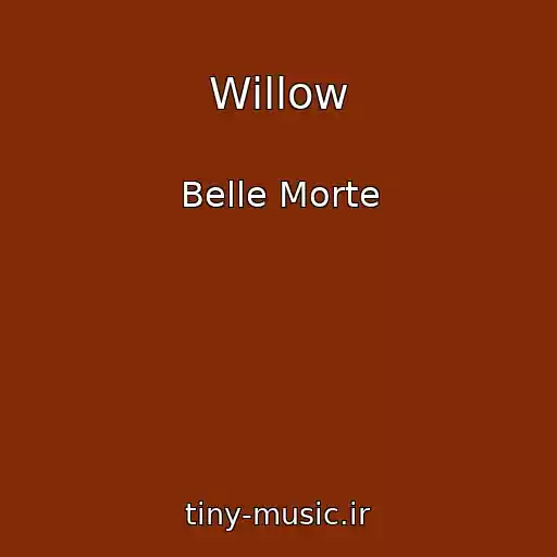 کاور آهنگ Willow از Belle Morte