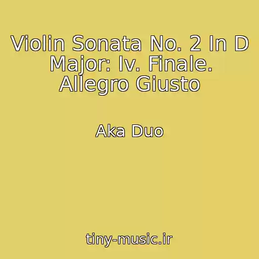 کاور آهنگ Violin Sonata No. 2 In D Major: Iv. Finale. Allegro Giusto از Aka Duo
