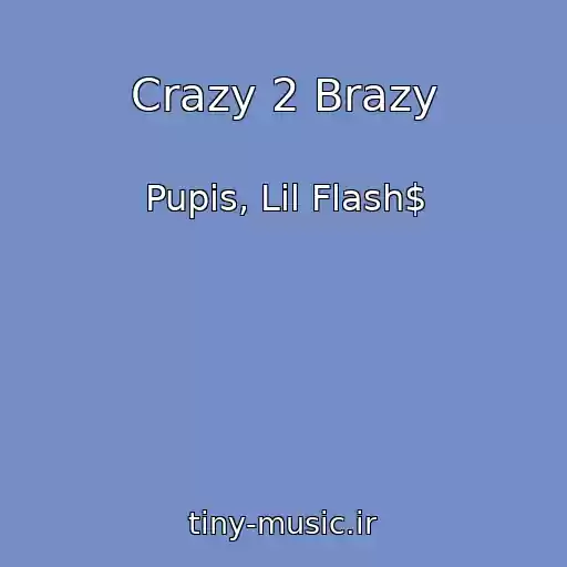 کاور آهنگ Crazy 2 Brazy از Pupis, Lil Flash$
