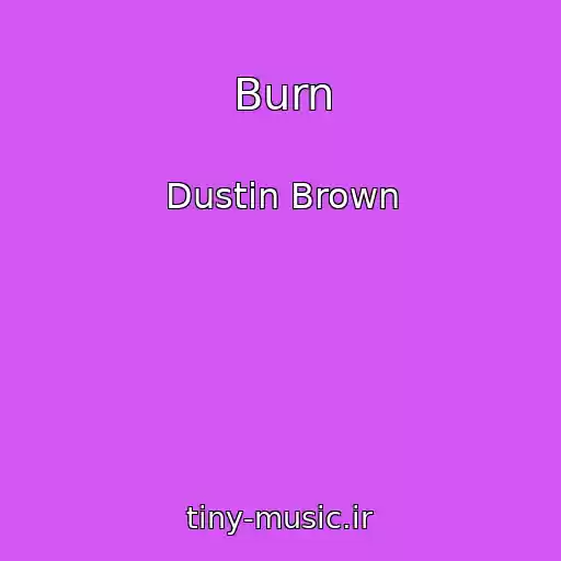 کاور آهنگ Burn از Dustin Brown